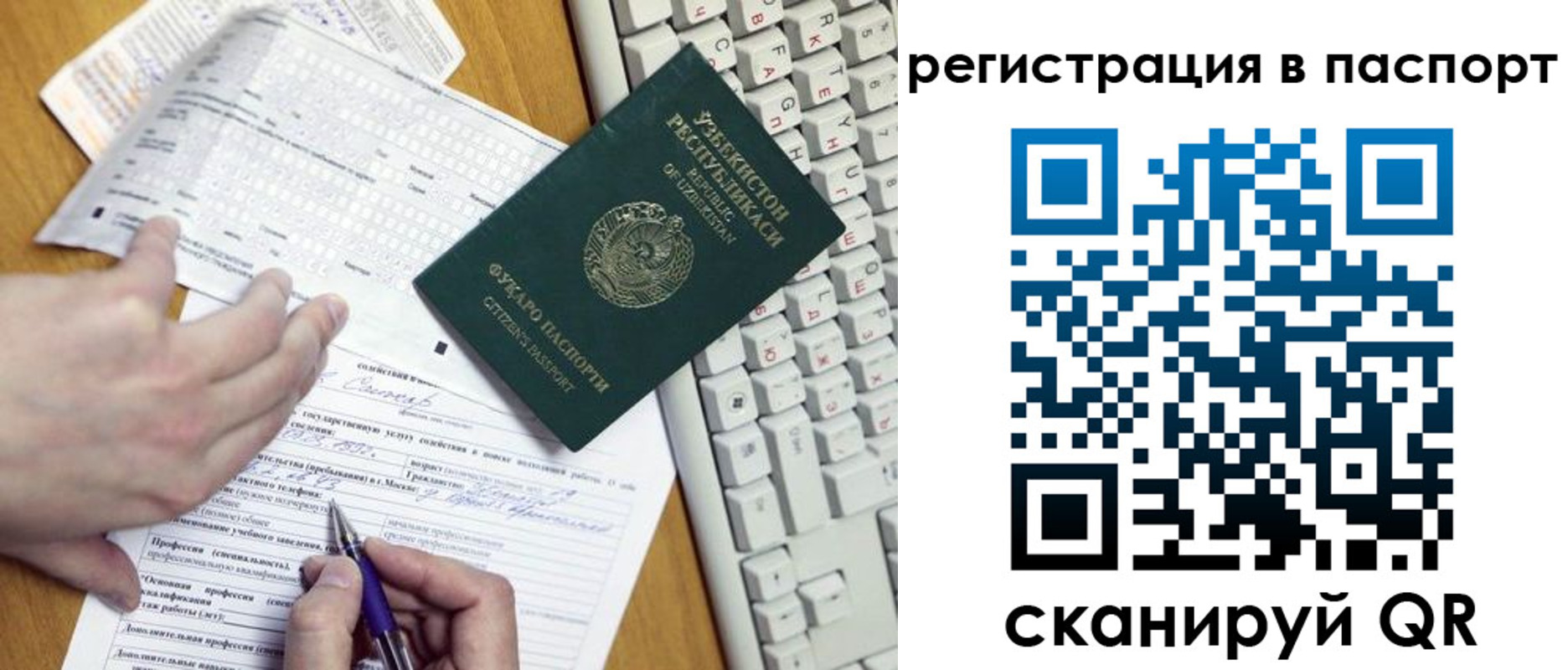 прописка поиск в Сельцо